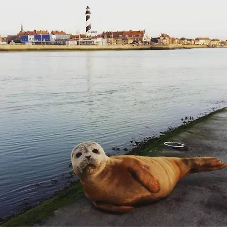 La Maison Du Pecheur Сasa de vacaciones Grand-Fort-Philippe